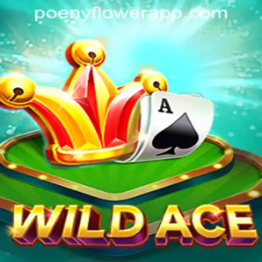 Discover the Thrills of WildAce: A Modern Take on Classic Casino Gaming